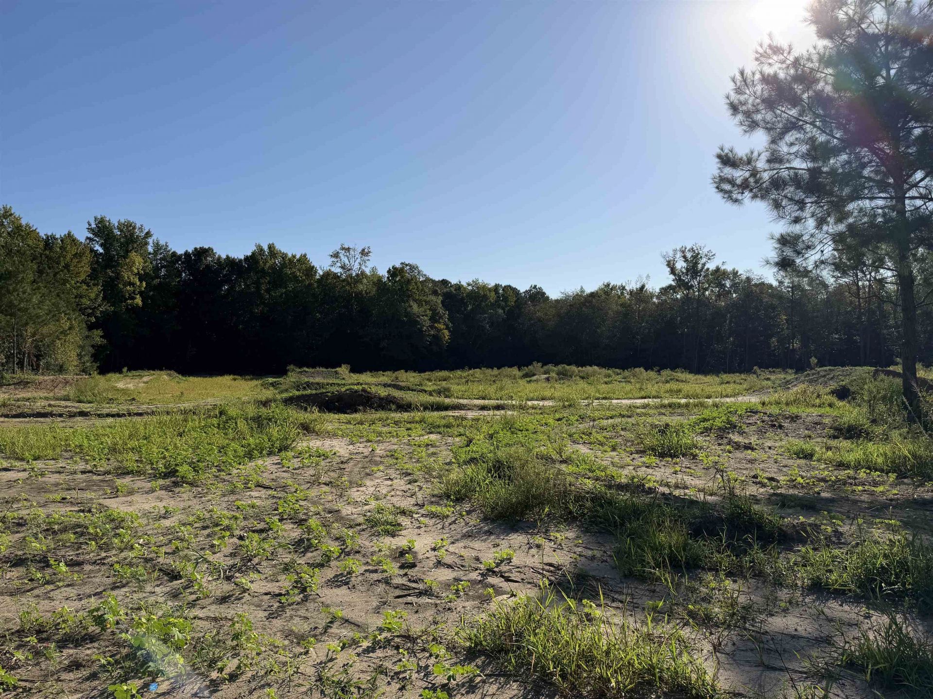 15+/- Acres-976 New Pine Rd.  Photo 8