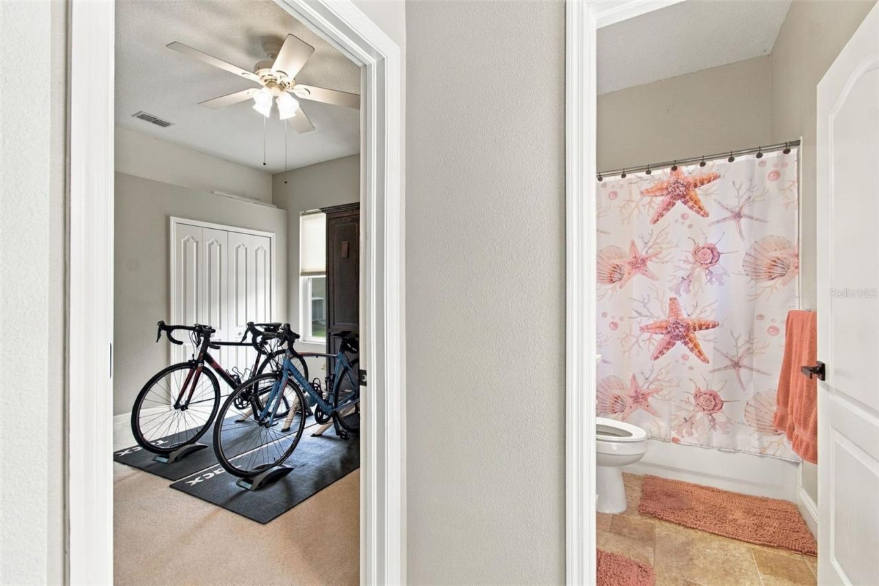2501 Bay Field Court, Holiday, FL 34691 Photo