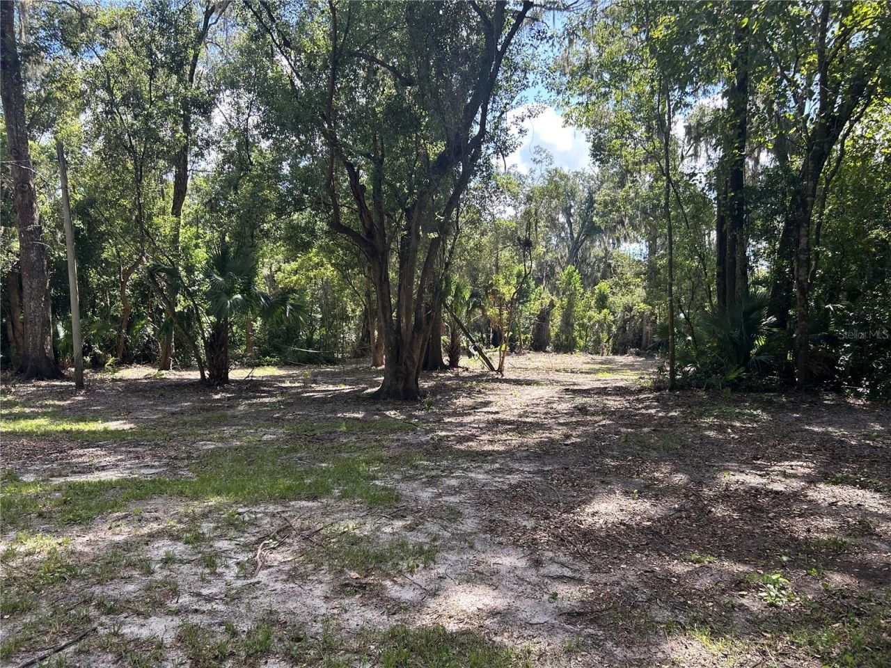 3324 Taylor Avenue, Coleman, FL 33521 Photo