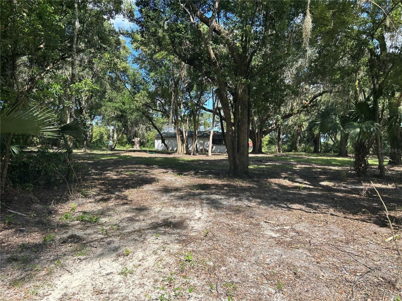 3324 Taylor Avenue, Coleman, FL 33521 Photo