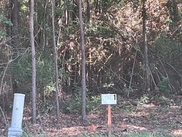 LA 424 - LOT 1 Highway , Franklinton, LA 70438