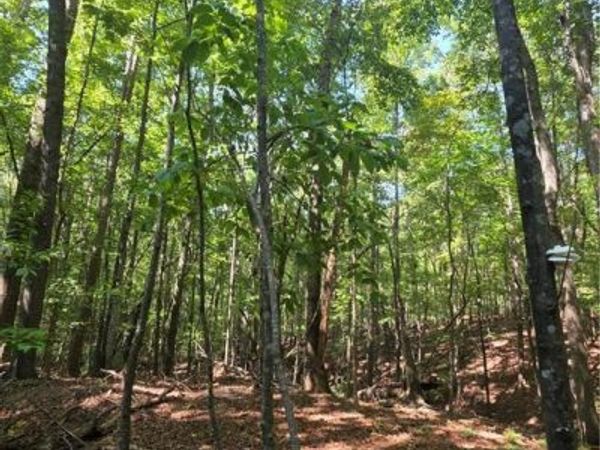 0 Browntown Road, Rockmart, GA 30153