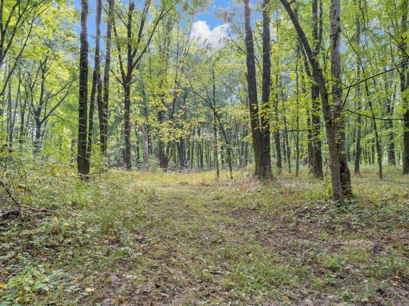 2410 Half Hill Road, Monroe Township, OH 45106 Photo 13