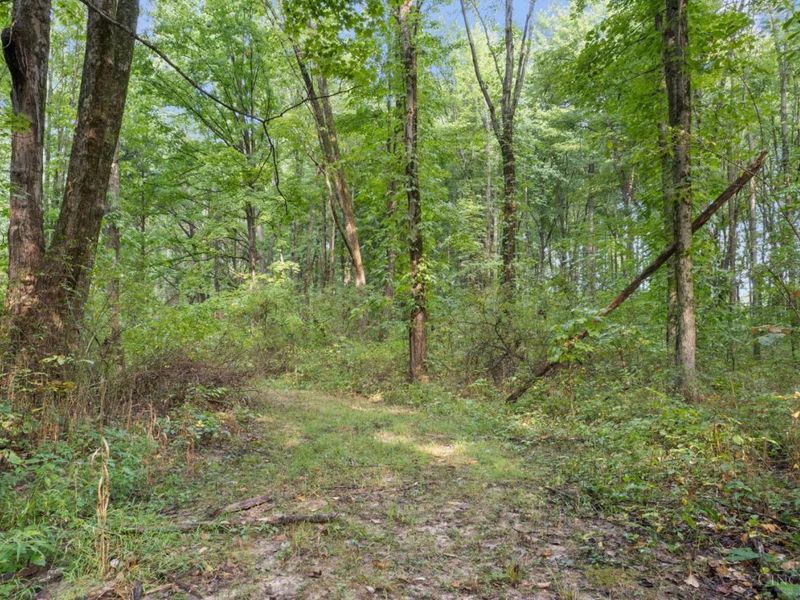 2410 Half Hill Road, Monroe Township, OH 45106 Photo 15