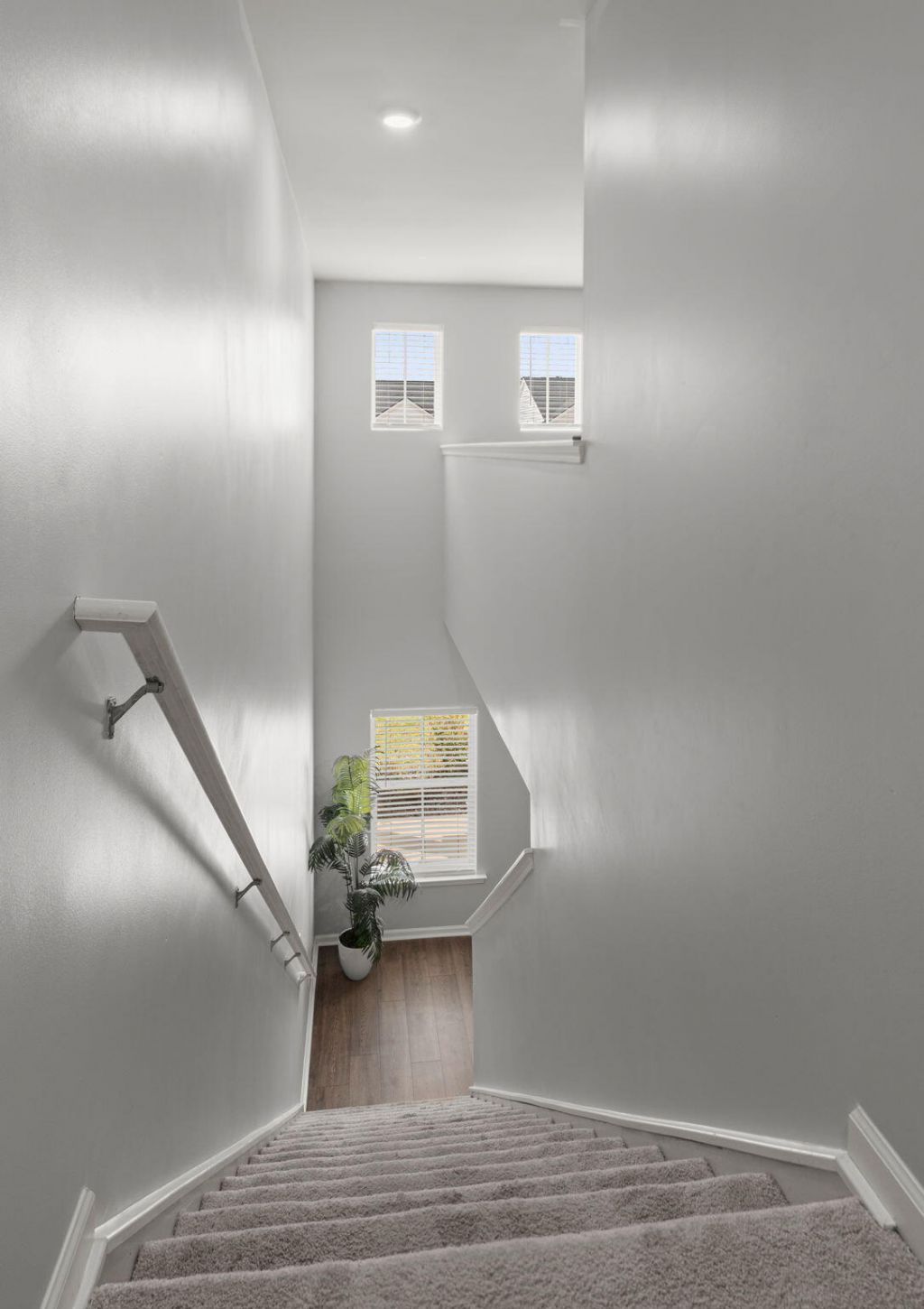 259 Cypress Preserve Boulevard Photo 20