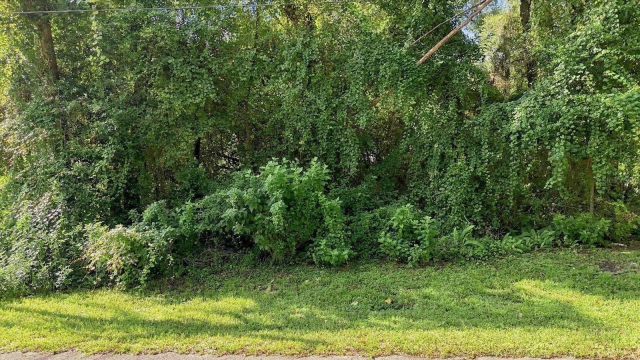 6136 E Rector Street , Inverness, FL 34452 Photo