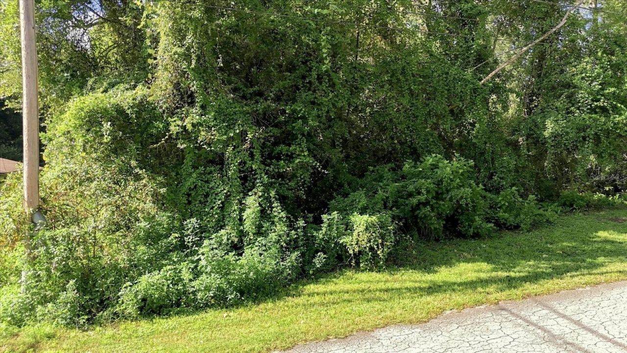 6136 E Rector Street , Inverness, FL 34452 Photo
