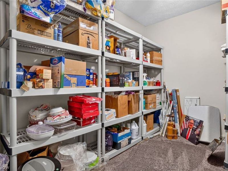 6601 Vrooman Road, Painesville, OH 44077 Photo 19