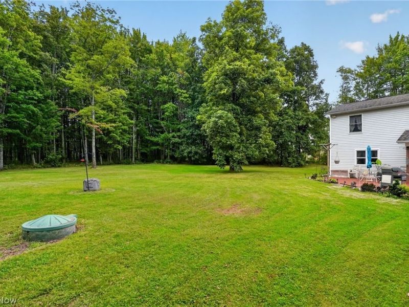 6601 Vrooman Road, Painesville, OH 44077 Photo 44