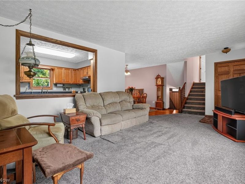6601 Vrooman Road, Painesville, OH 44077 Photo 6