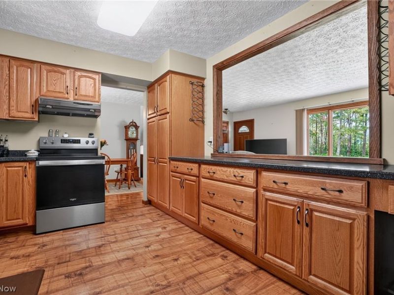 6601 Vrooman Road, Painesville, OH 44077 Photo 7