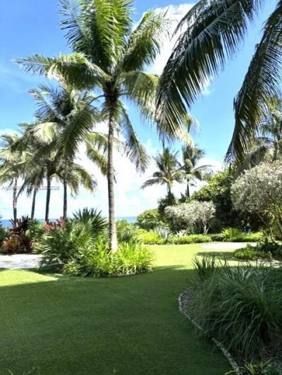 9401 Collins Ave, Unit 303, Surfside, FL 33154 Photo
