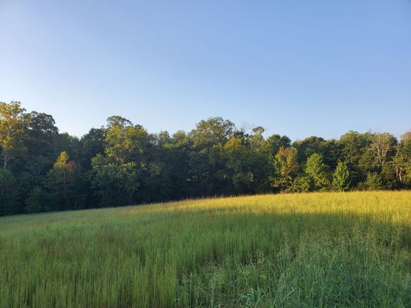 2242 Shelton Ferry Rd , Southside, TN 37171