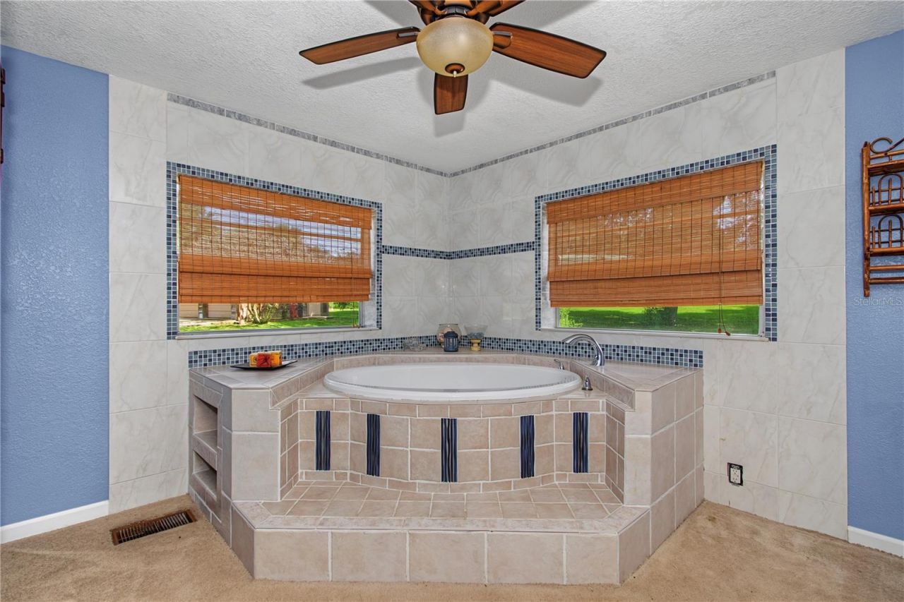15133 NE 248th Avenue Road, Salt Springs, FL 32134 Photo