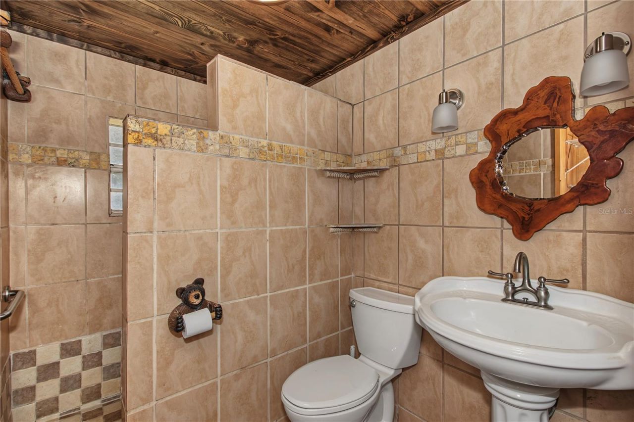 15133 NE 248th Avenue Road, Salt Springs, FL 32134 Photo