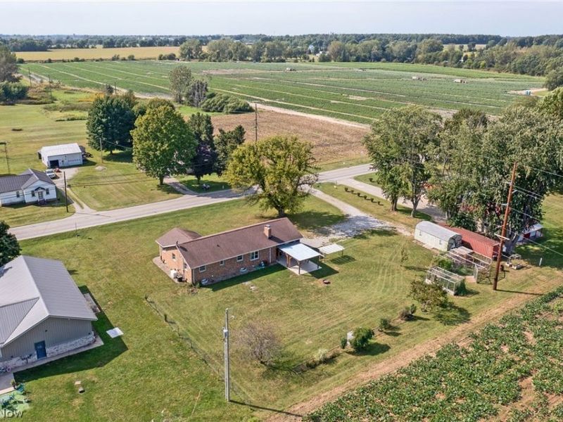 3802 State Route 598 S, Willard, OH 44890 Photo 42