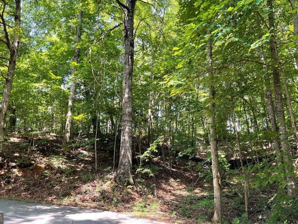 #7 Mountain Drive North, Hiawassee, GA 30546