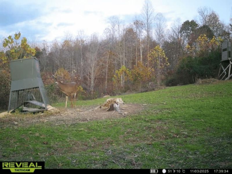 175 Comer School House Road, Oak Hill, OH 45656 Photo 58