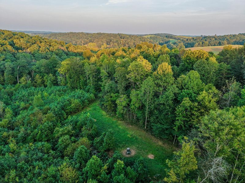 175 Comer School House Road, Oak Hill, OH 45656 Photo 80