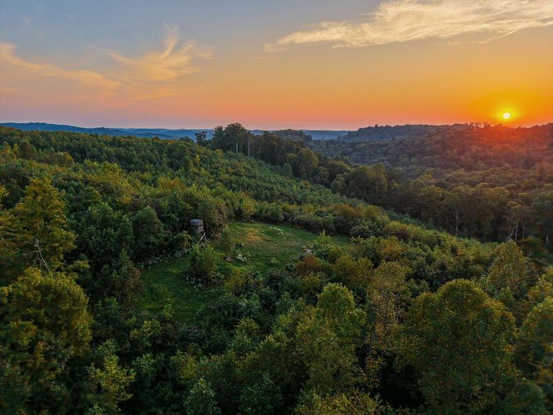 175 Comer School House Road, Oak Hill, OH 45656 Photo 84