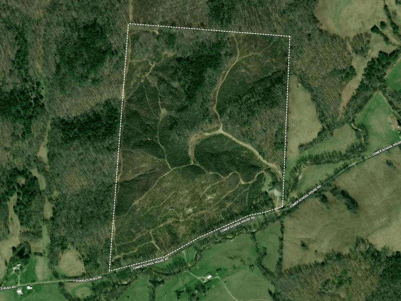 175 Comer School House Road, Oak Hill, OH 45656 Photo 99