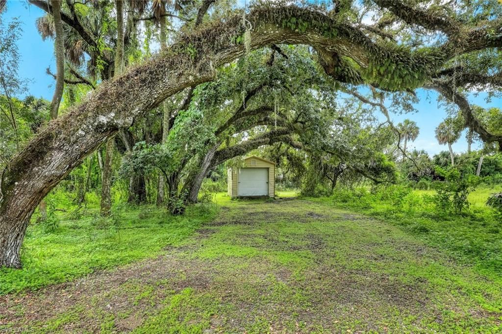 21211 Palm Beach Blvd , Alva, FL 33920 Photo