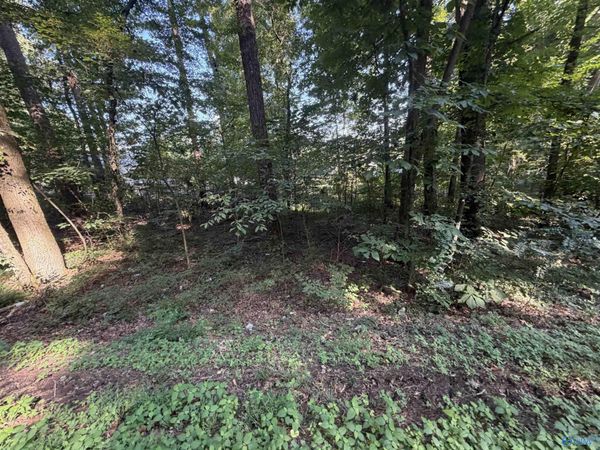 Lot 38 Creek Path/Browns Valley Rd, Guntersville, AL 35976