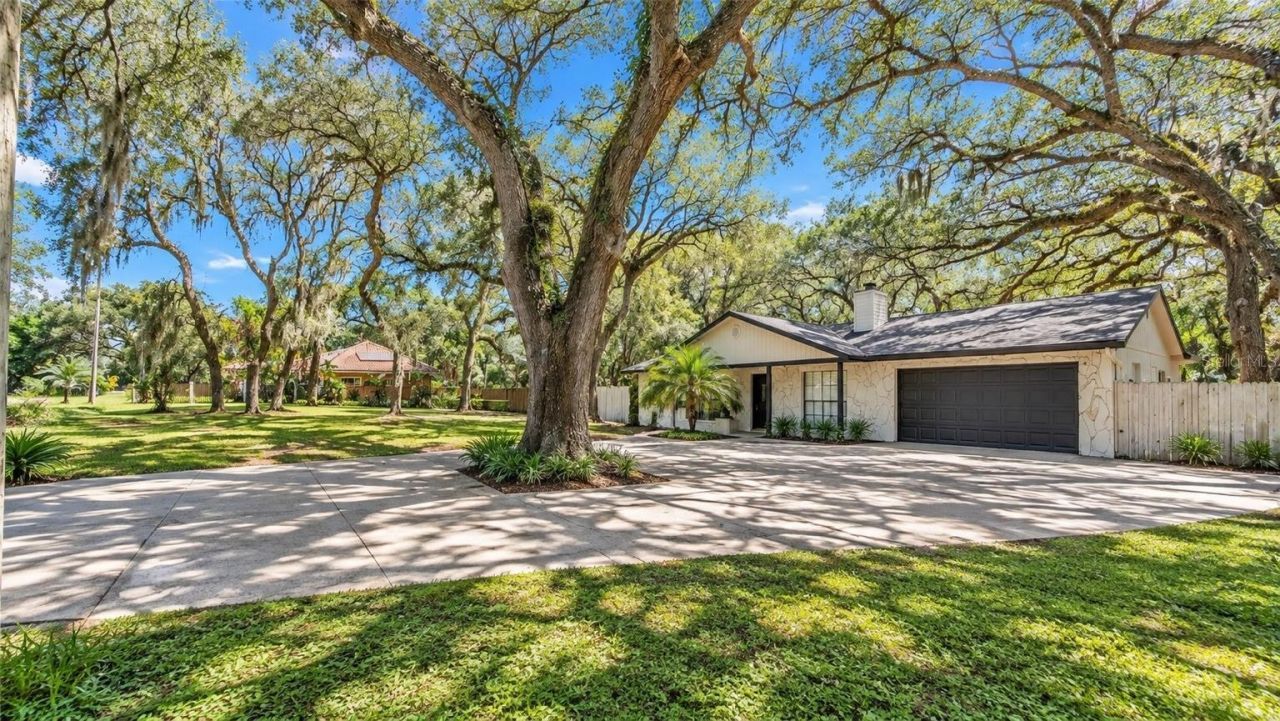 7405 Williams Road, Seffner, FL 33584 Photo