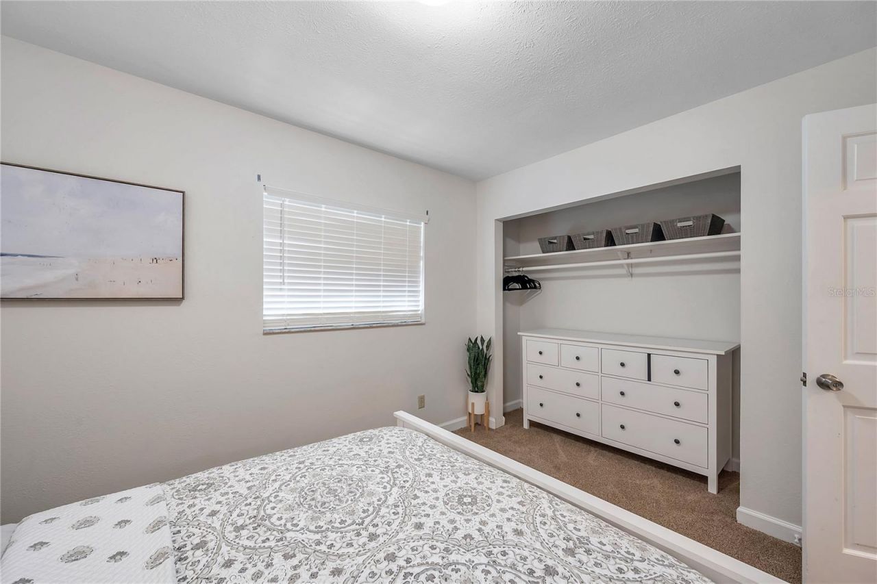 7405 Williams Road, Seffner, FL 33584 Photo