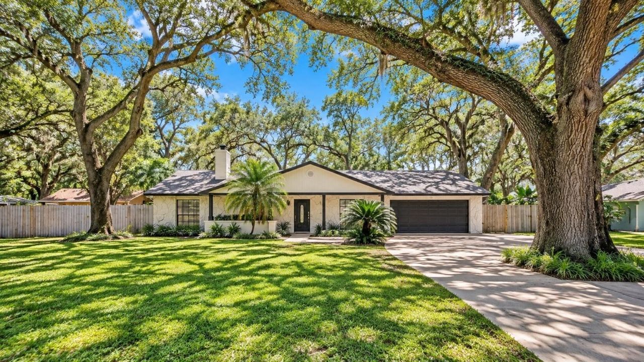 7405 Williams Road, Seffner, FL 33584 Photo