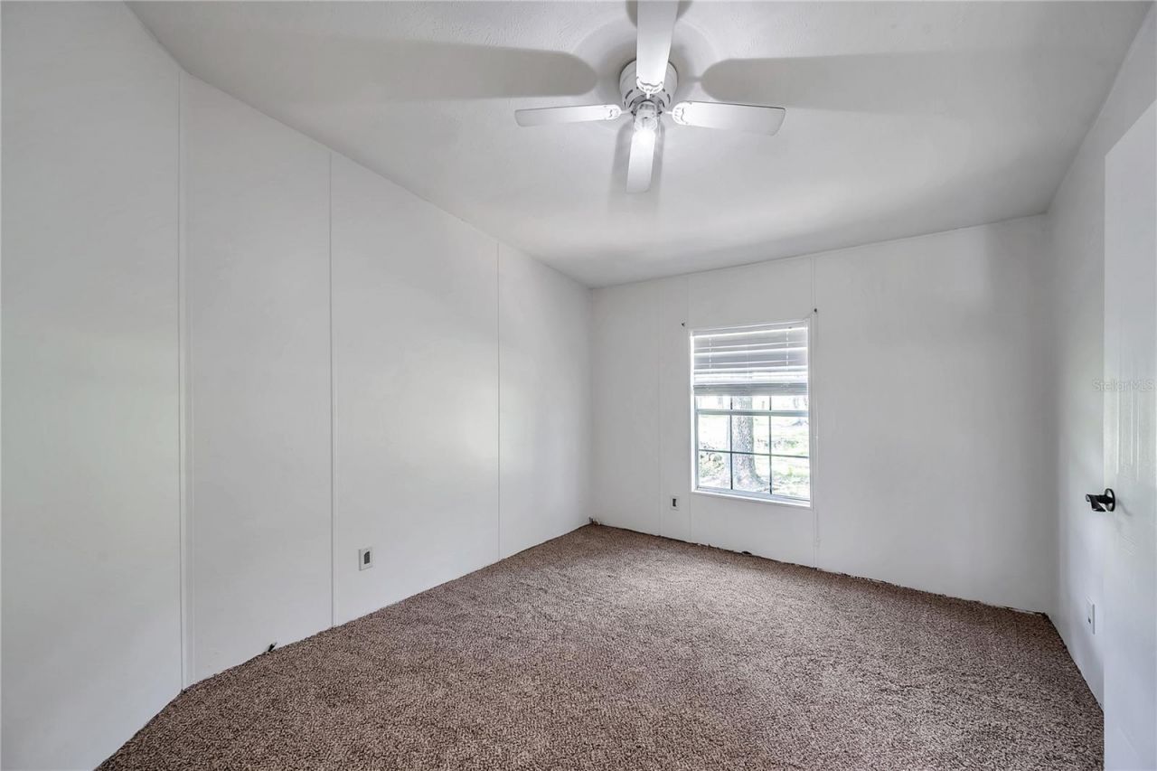7405 Williams Road, Seffner, FL 33584 Photo