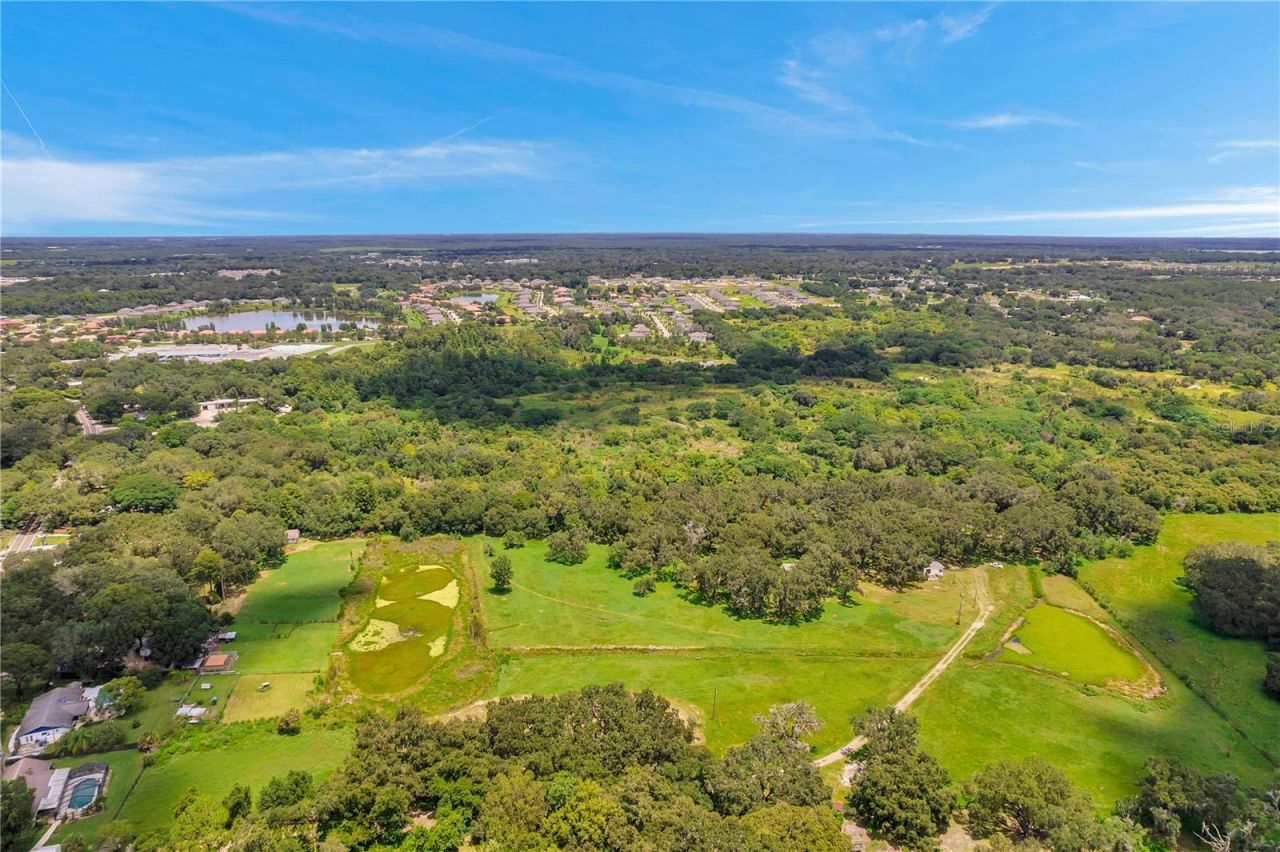 7405 Williams Road, Seffner, FL 33584 Photo