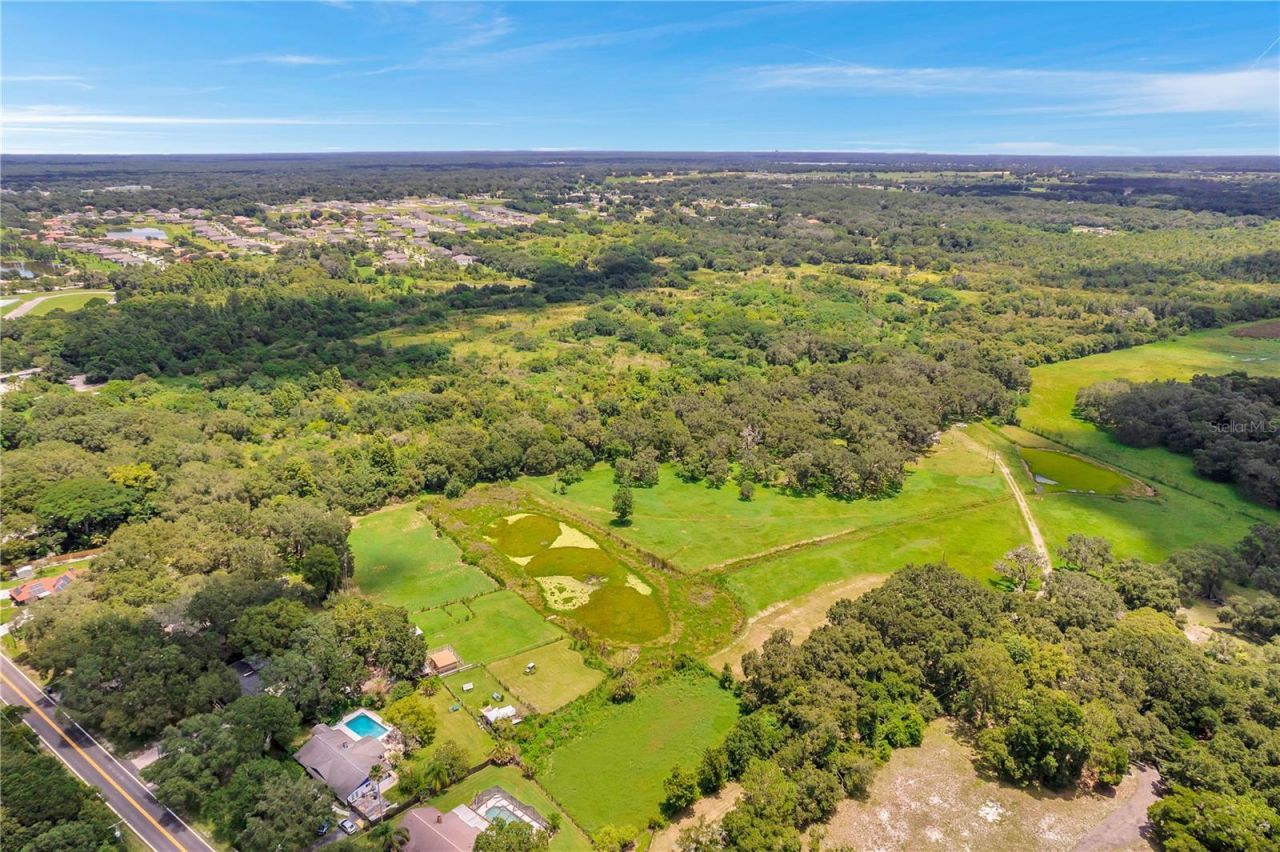 7405 Williams Road, Seffner, FL 33584 Photo