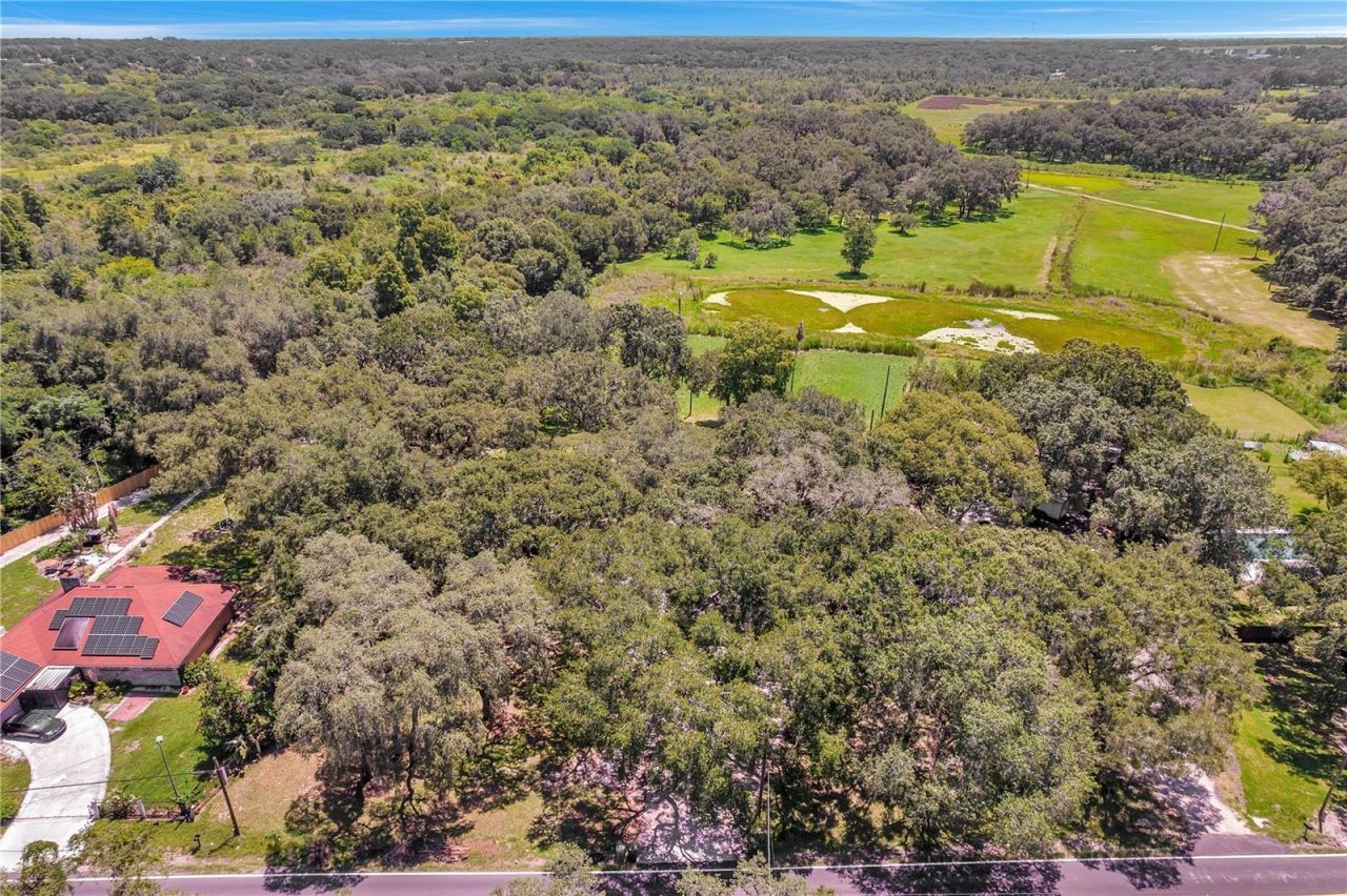 7405 Williams Road, Seffner, FL 33584 Photo