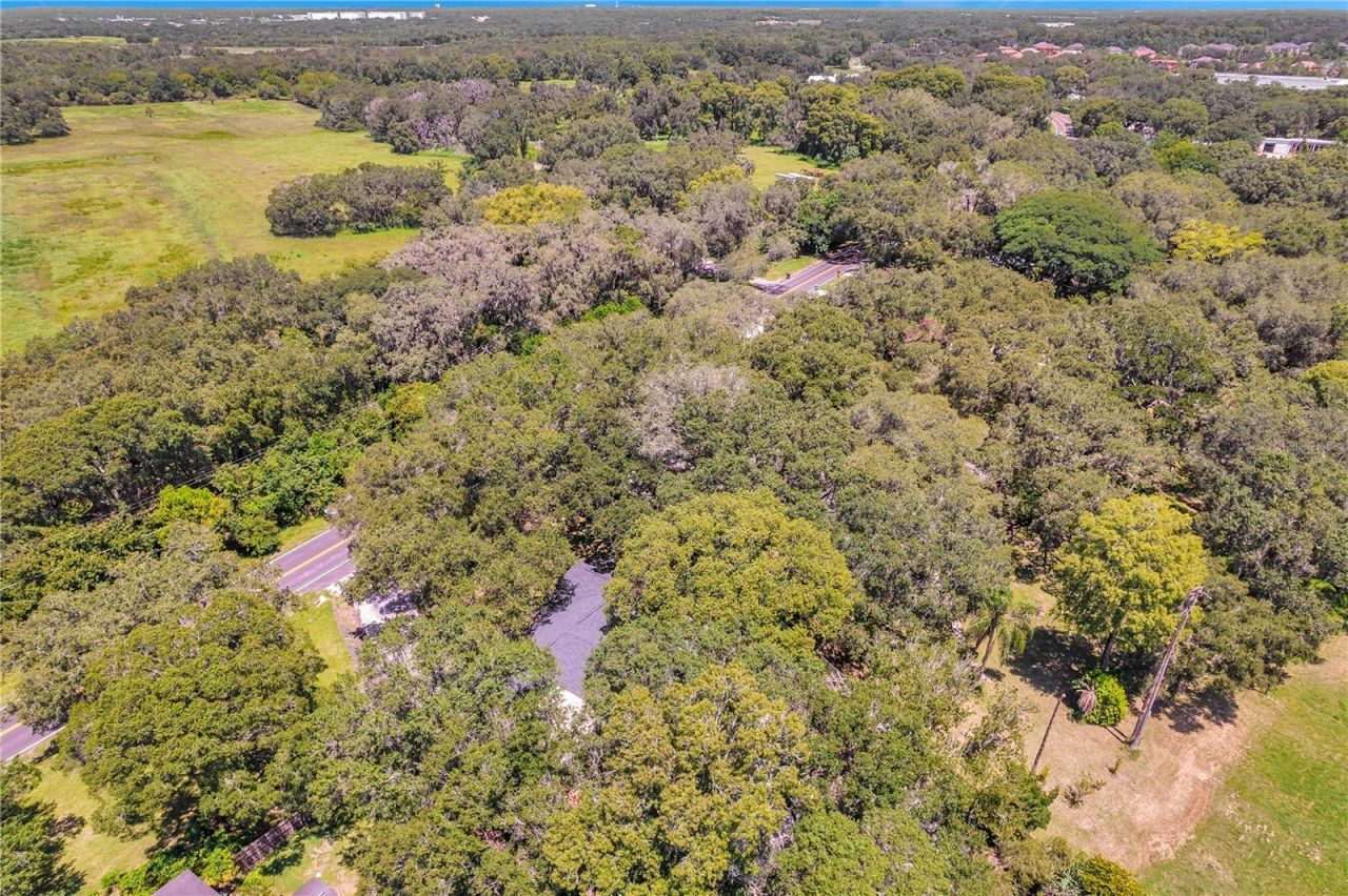 7405 Williams Road, Seffner, FL 33584 Photo