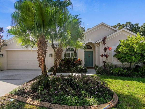 12304 WYCLIFF PLACE, TAMPA, FL 33626