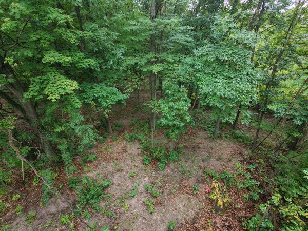 12998 Bowen Lake Drive, Gowen, MI 49326