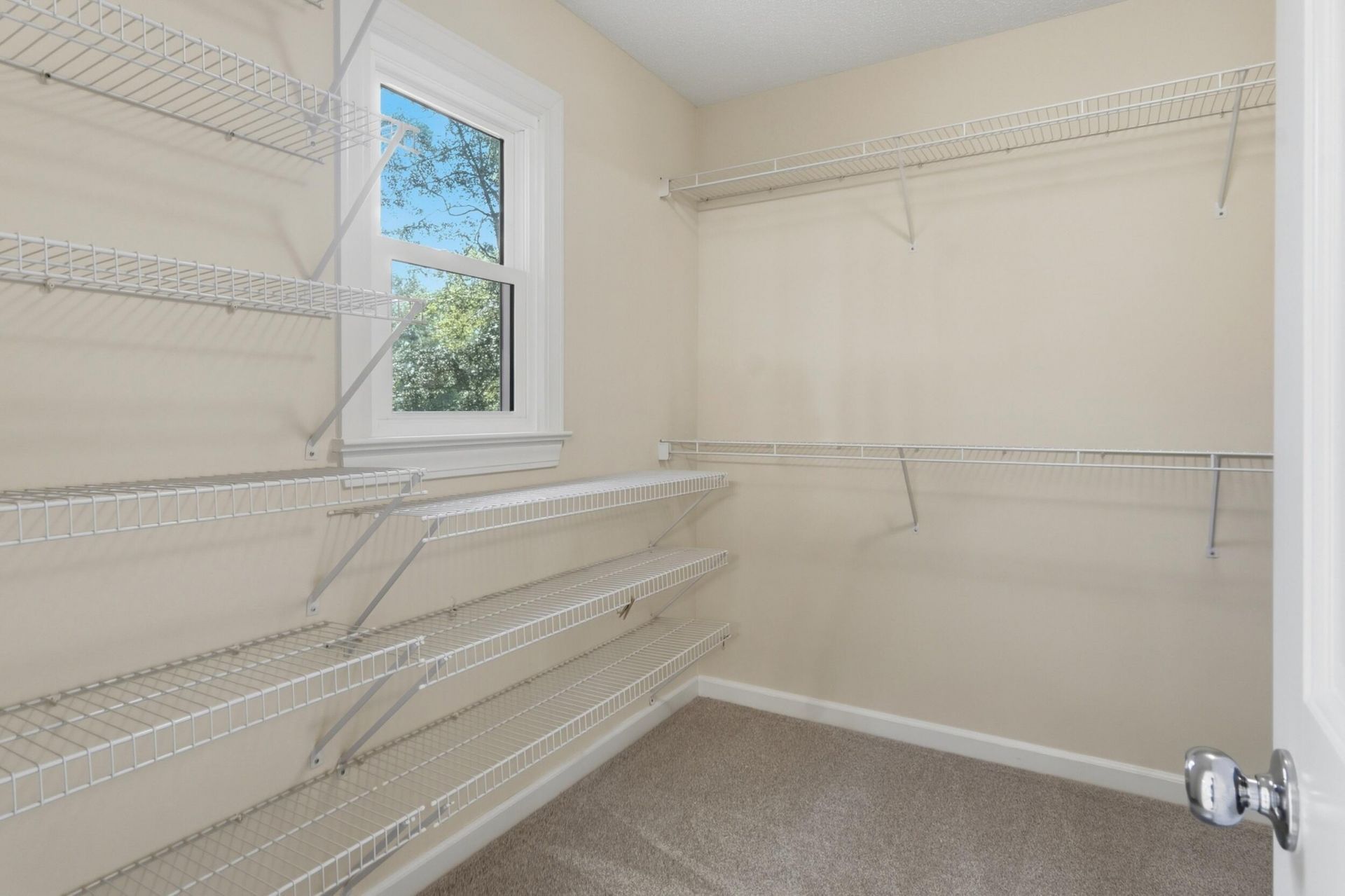 8622 Arthur Hills Circle Photo 28