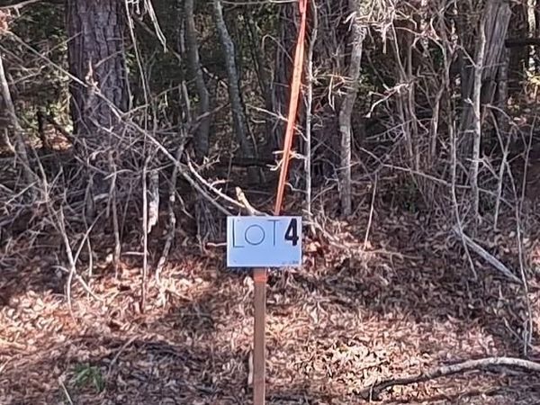 LA HWY 424 - LOT 4 , Franklinton, LA 70438
