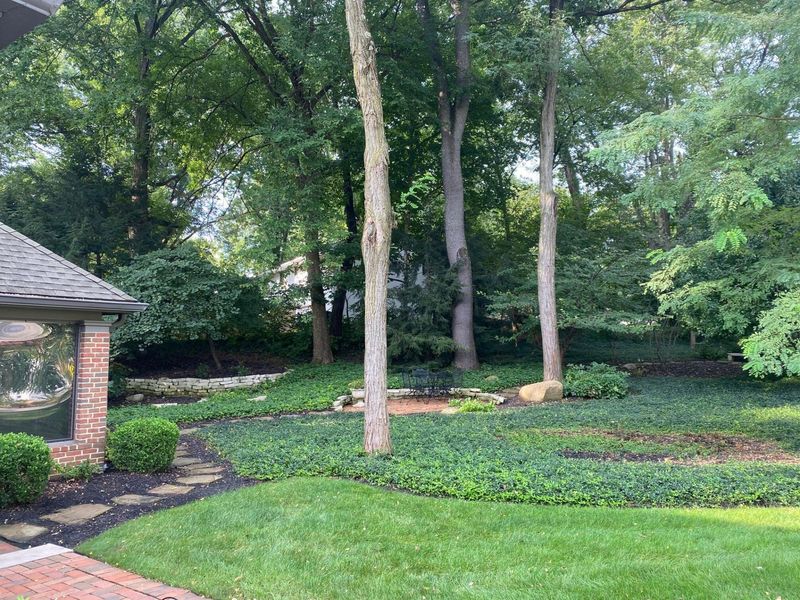 445 Meacham Run Court, Westerville, OH 43081 Photo 2