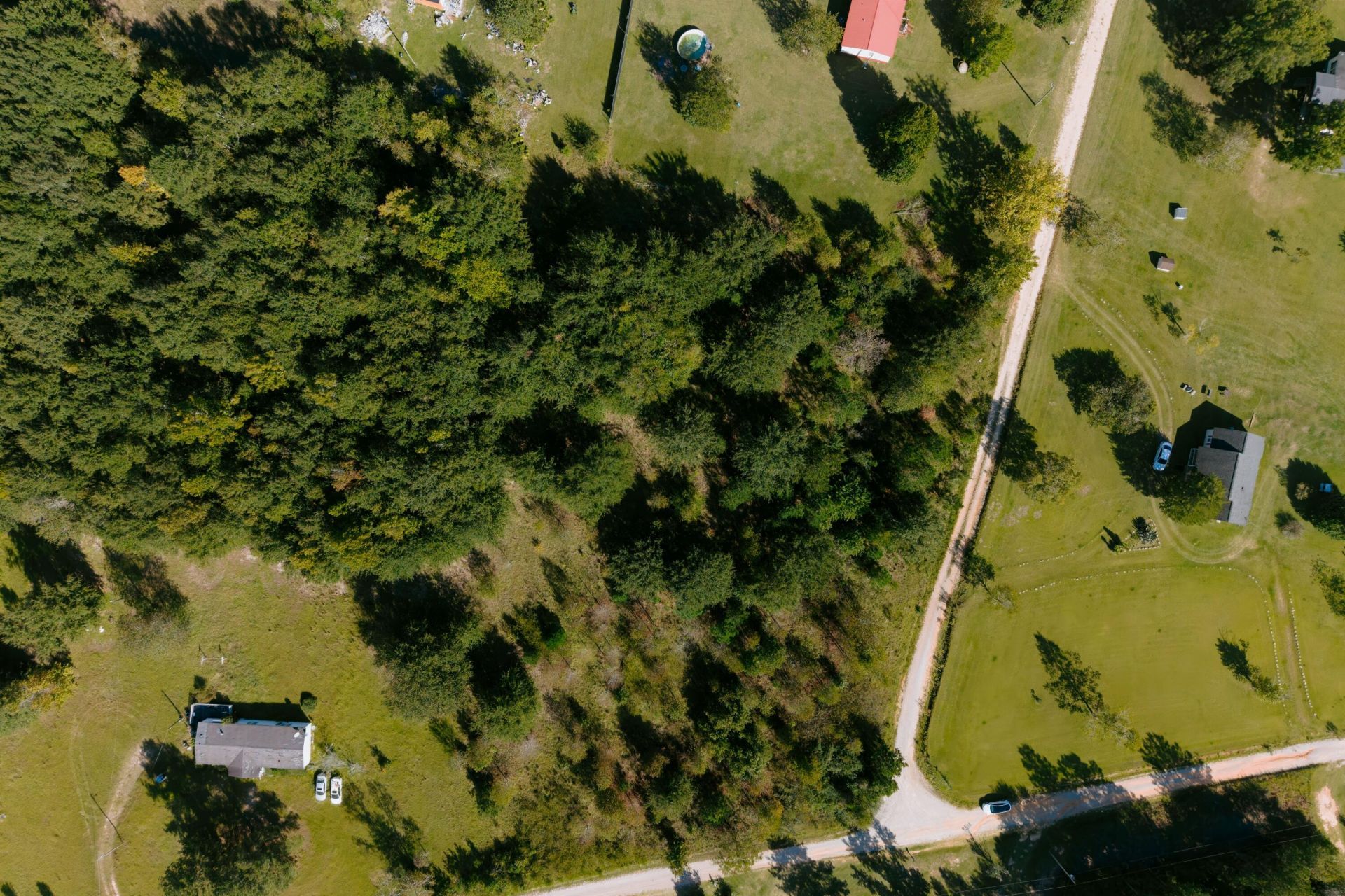 194 Dove Drive Photo 4