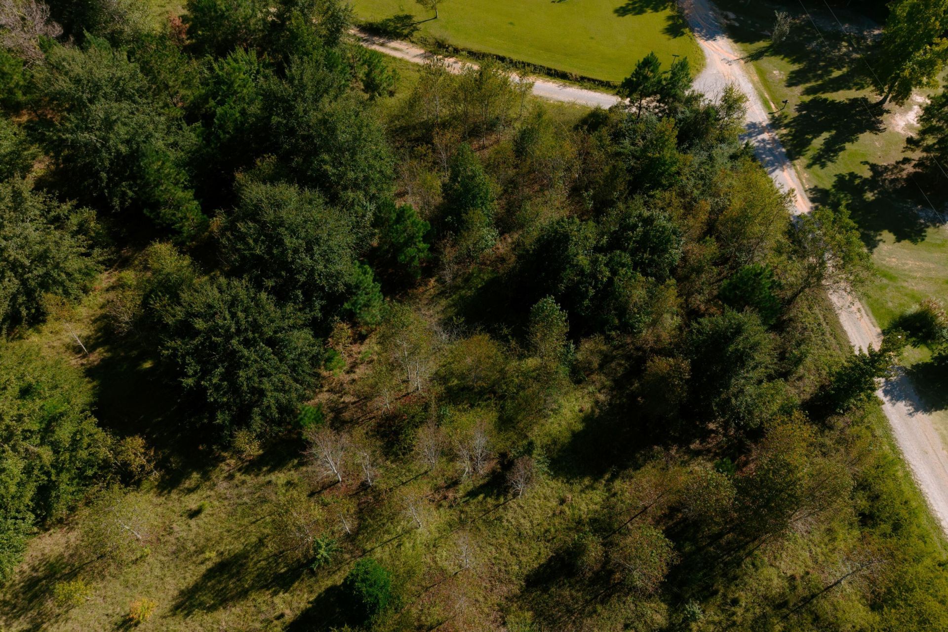 194 Dove Drive Photo 6