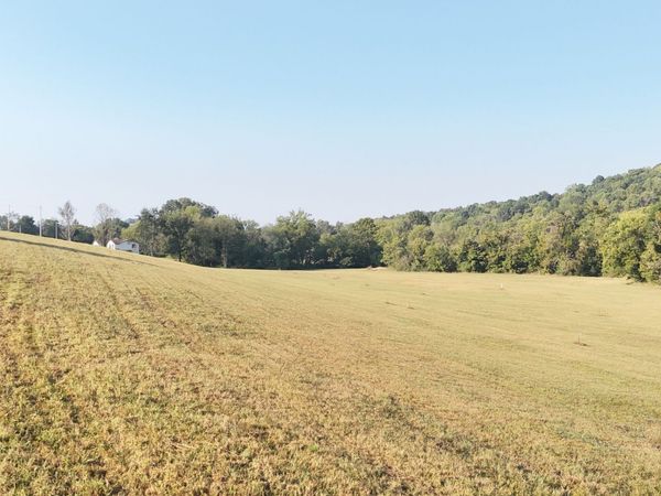 0 Ostella Rd , Unit Lot4, Cornersville, TN 37047