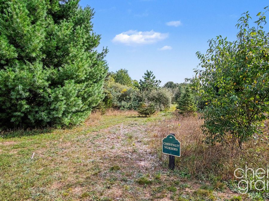 Property Image 69
