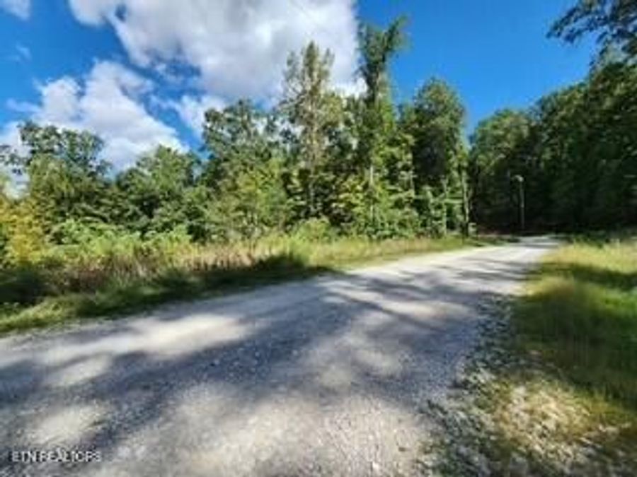 Property Image 37