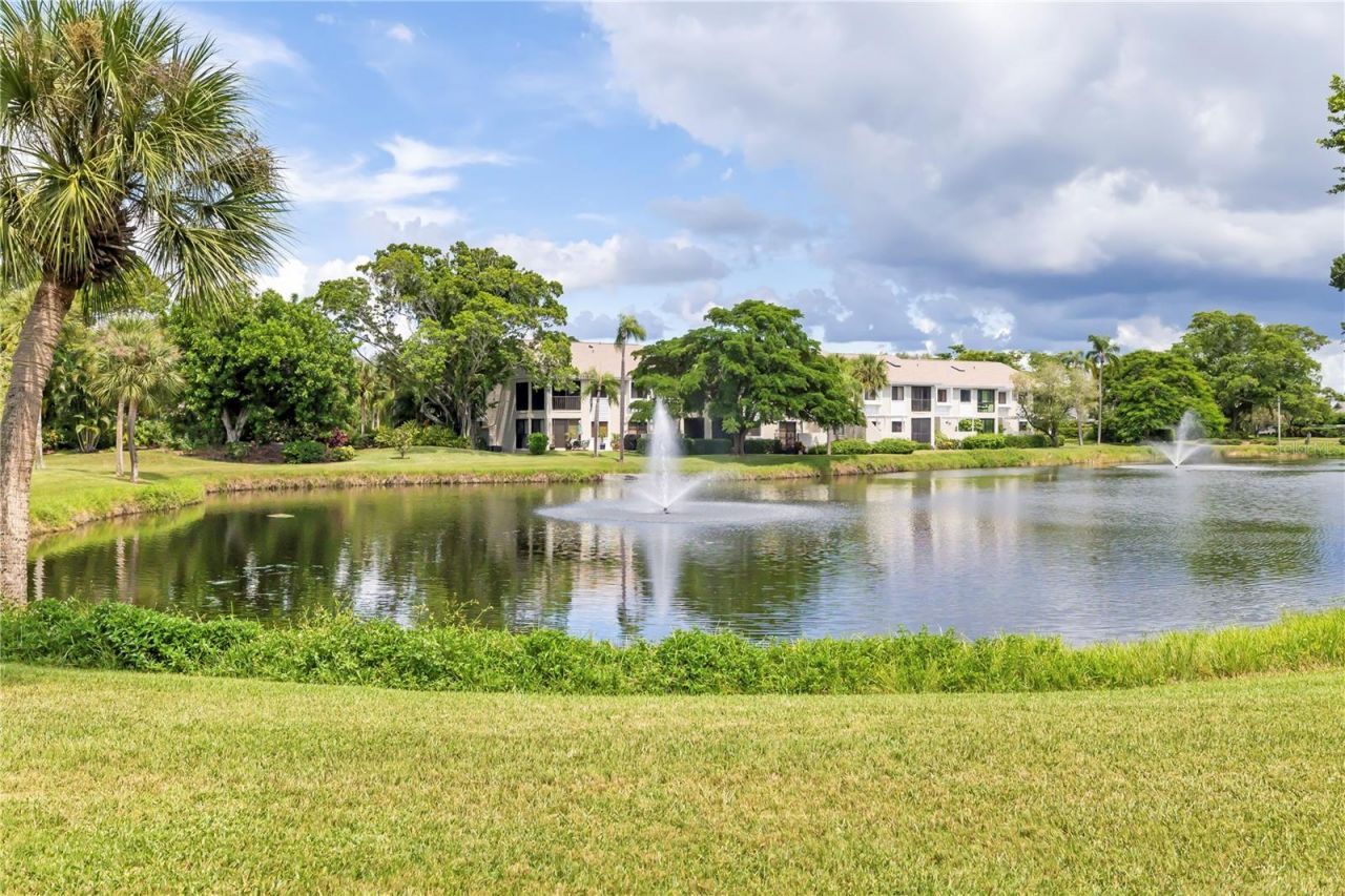 5239 Heron Way, Unit 102, Sarasota, FL 34231 Photo