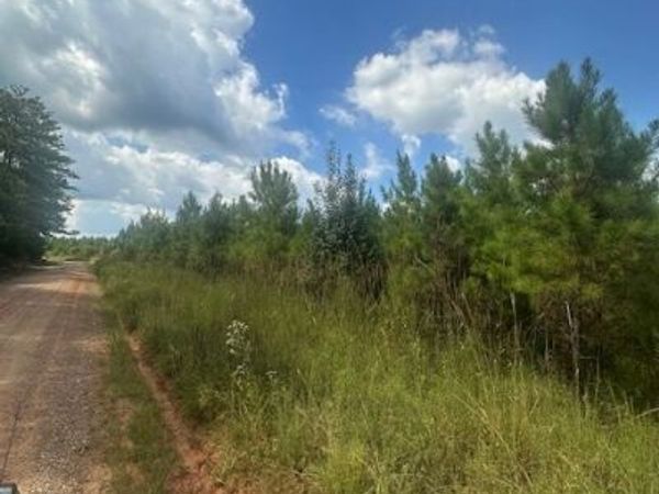 0 Cook Road, Unit TRACT #3, Monticello, GA 31064