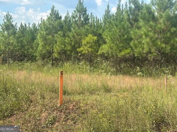 0 Cook Road, Unit TRACT #5, Monticello, GA 31064