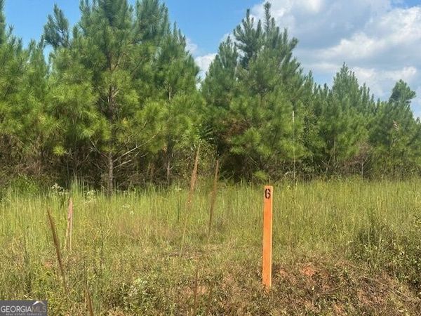 0 Cook Road, Unit TRACT #6, Monticello, GA 31064