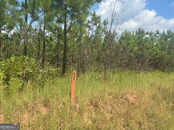 0 Cook Road, Unit TRACT #7, Monticello, GA 31064